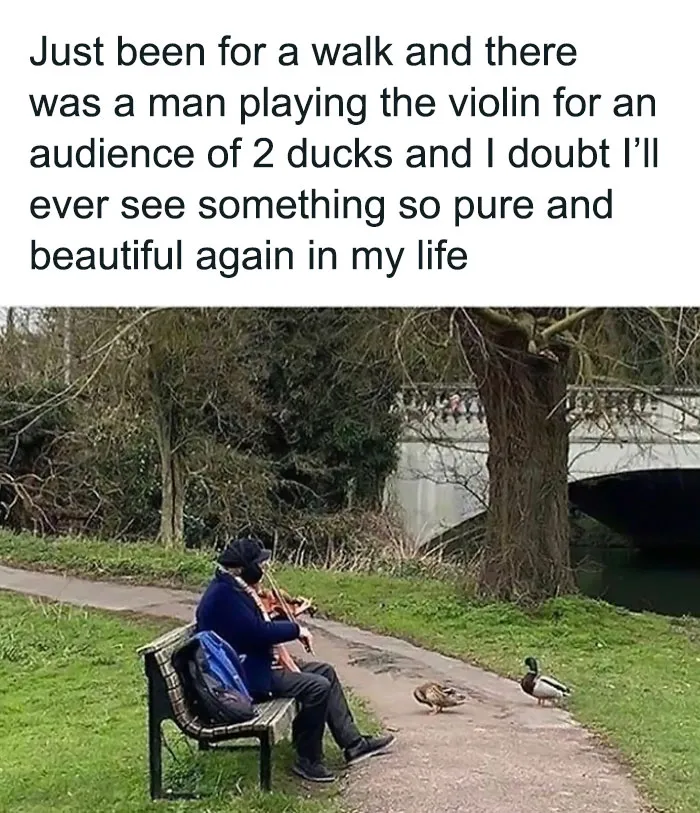 50 Top-Quality Bird Memes To Make You Grin Today, As Shared By This Facebook Page