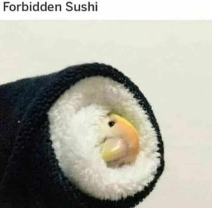 50 Top-Quality Bird Memes To Make You Grin Today, As Shared By This Facebook Page