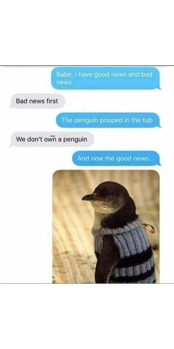 50 Top-Quality Bird Memes To Make You Grin Today, As Shared By This Facebook Page