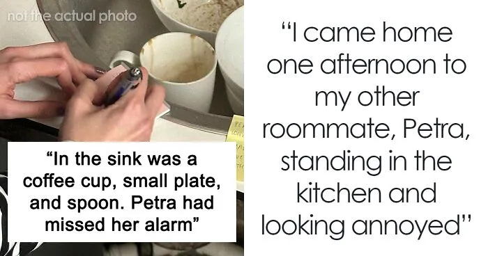 Roommate Complains About Dishes In The Sink, Regrets It When She Does The Same Thing
