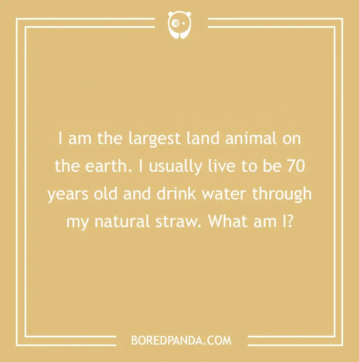 132 Fun Science Riddles If You’re Up For A Brainteasing Challenge