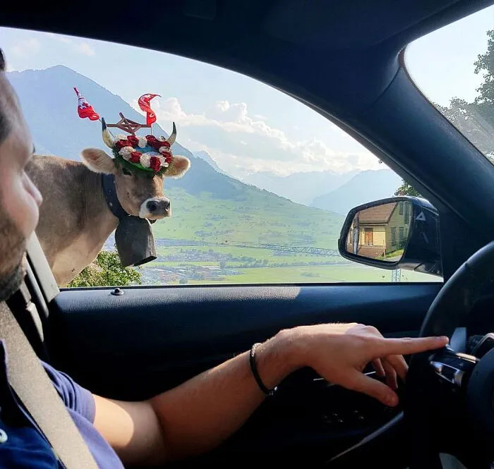 Only In Switzerland