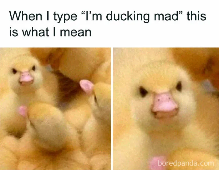 50 Hilarious Memes To Look At While You’re Supposed To Be Working (New Pics)