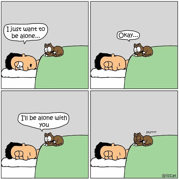 Artist Illustrates Relatable Moments From Life With A Cat, And Here Are The Newest 20 Comics