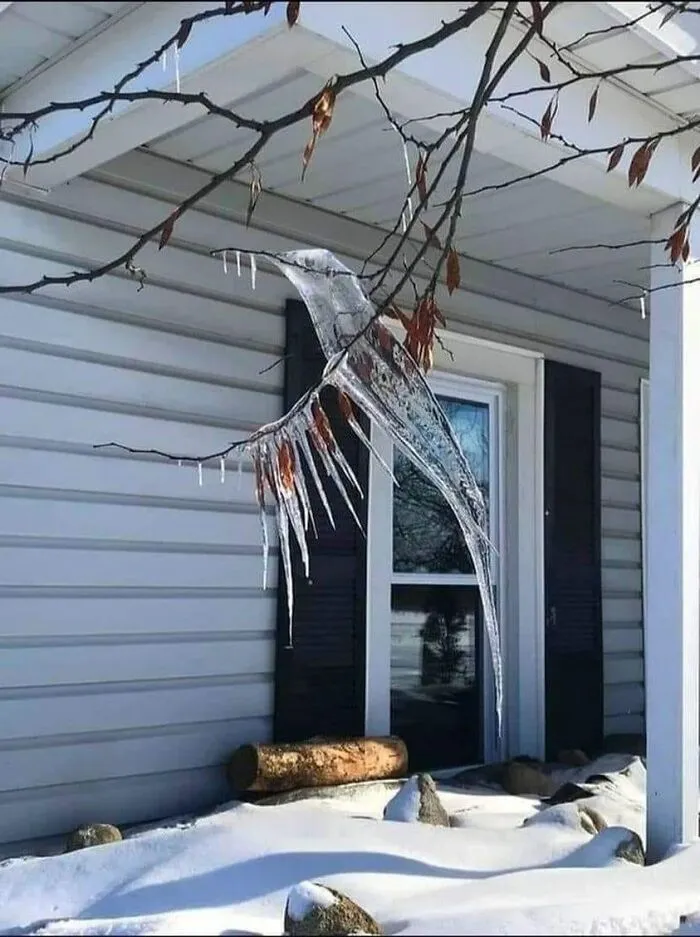 Colibrí de hielo creado por la naturaleza