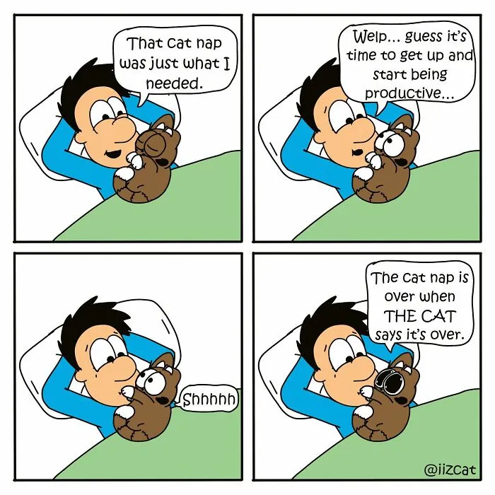 Artist Illustrates Relatable Moments From Life With A Cat, And Here Are The Newest 20 Comics