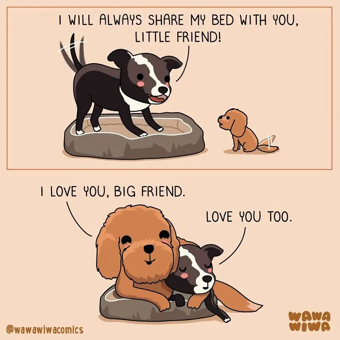 28 Hilariously Adorable Comics By Wawawiwa That Might Instantly Make Your Day (New Pics)