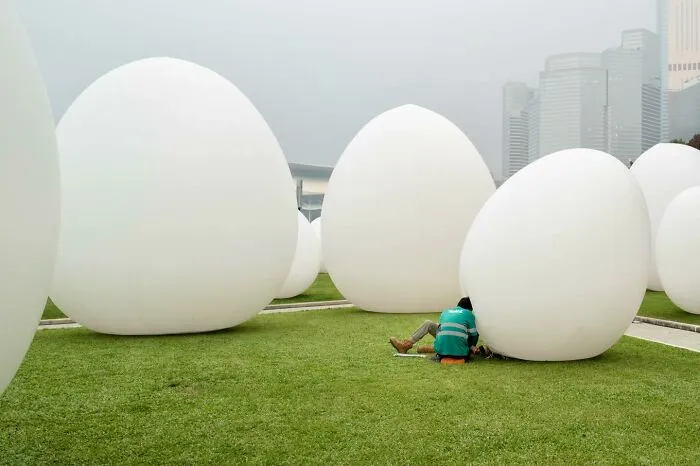 Lucky Coincidences: 20 Perfectly Timed Pictures Taken By Edas Wong (New Pics)