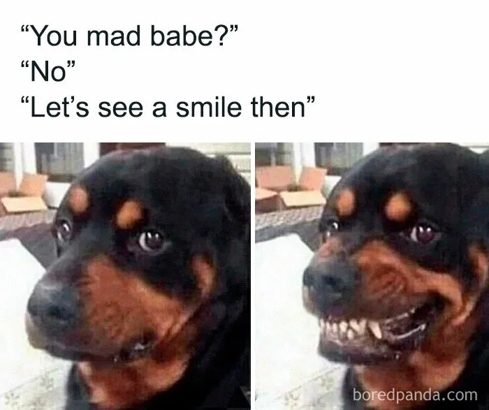 50 Hilarious Memes To Look At While You’re Supposed To Be Working (New Pics)