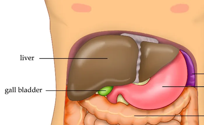 30 Cool But Pretty Disturbing Facts About The Human Body That Not Many People Know About