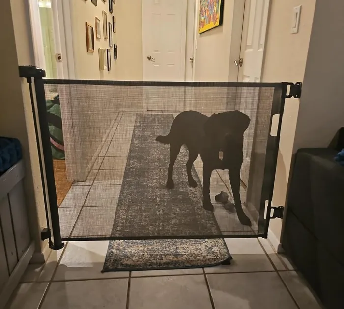 No More Furry Escapees Thanks To <span Style="Font:inherit;color:#d74b1f;"> The Dearlomum Retractable Mesh Dog Gate</Span>