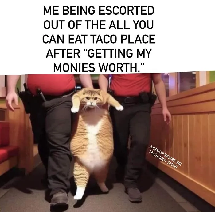 41 Memes For A Quick Break And A Good Giggle