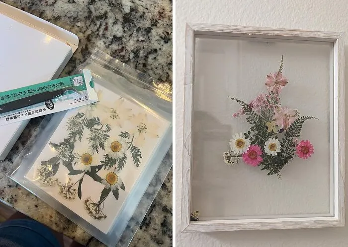 Flower Power: <a Style="Display:inline;" Href="Https://Www.amazon.com/Nuanchu-Pressed-Christmas-Papermaking-Artistic/Dp/B0cldj3n48?crid=2f7niapkfd9sd&dib=eyj2ijoimsj9.lqaa68malhk1c4xxa8ilh2narhk-Kh2kq9yfnhhycryb1lcjhdhzujmg-N56c5o3izntkrman-Q7gox16hmvewonyntwxrpytqiomv7vgy98bog6fozv9oahqzxxld9sebvs-We2bkse0mfrz4yo5ttms96qvlk8fmif6cap9qq0s1iupst3yxtq8fxm4galhc1us07tdbe6ipmz2z8ktznxzabjoebeuivpzoi5b9vmxo-Zy0poksq-Ksdquf_3lbpaa3uggssehlrzqu67eghisimcanr6ke8vc65woqg.b4xbgzvsln77bbbayvdrcfh69bgwouiuudnqsdd9aqs&dib_tag=se&keywords=diy&qid=1709543773&sprefix=diy%2caps%2c267&sr=8-29&th=1&linkcode=ll1&tag=bphorse-20&linkid=2359b5f3088a50fc8f2fb79349f40823&language=en_us&ref_=as_li_ss_tl" Target="_blank"><span Style="Font:inherit;color:#d74b1f;"> Pressed Flowers </Span> For Resin, Crafts, And More