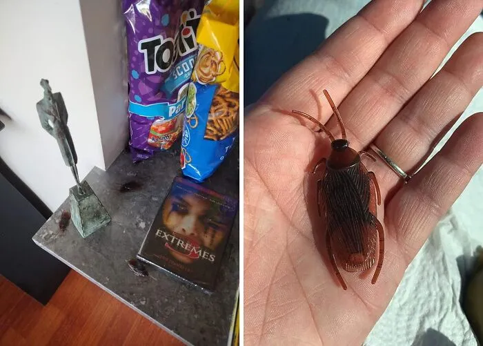 April Fools'? Time To Bring Out The Big 'Bugs' - <span Style="Font:inherit;color:#d74b1f;"> Fake Roaches</Span>. Gross Them Out!