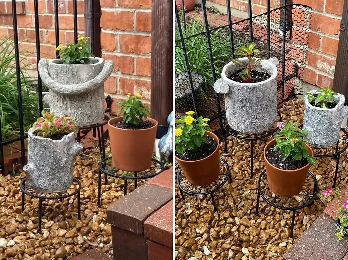 Elevate Your Greens: <span Style="Font:inherit;color:#d74b1f;"> Heavy Duty Cadani Stands</Span> For Multi-Plant Display!