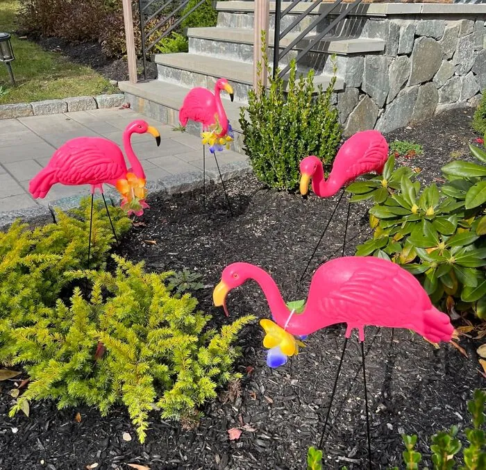 Yard Goals: <span Style="Font:inherit;color:#d74b1f;"> Bright Pink Flamingo Statues By Giftexpress</Span> , Tropical Vibes Ahead!