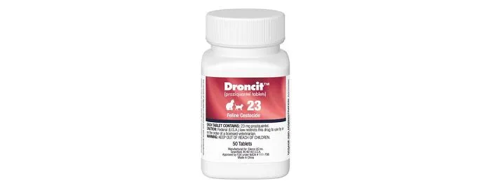 Droncit