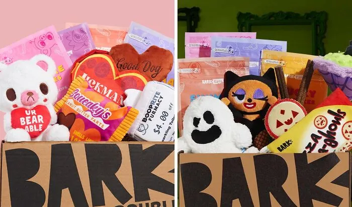 Fetch Fun And Joy With <a Style="Display:inline;" Href="Https://Www.barkbox.com/" Target="_blank"><span Style="Font:inherit;color:#d74b1f;"> Barkbox Subscription Boxes</Span>: Tail-Wagging Toys And Treats For Your Pawesome Pals