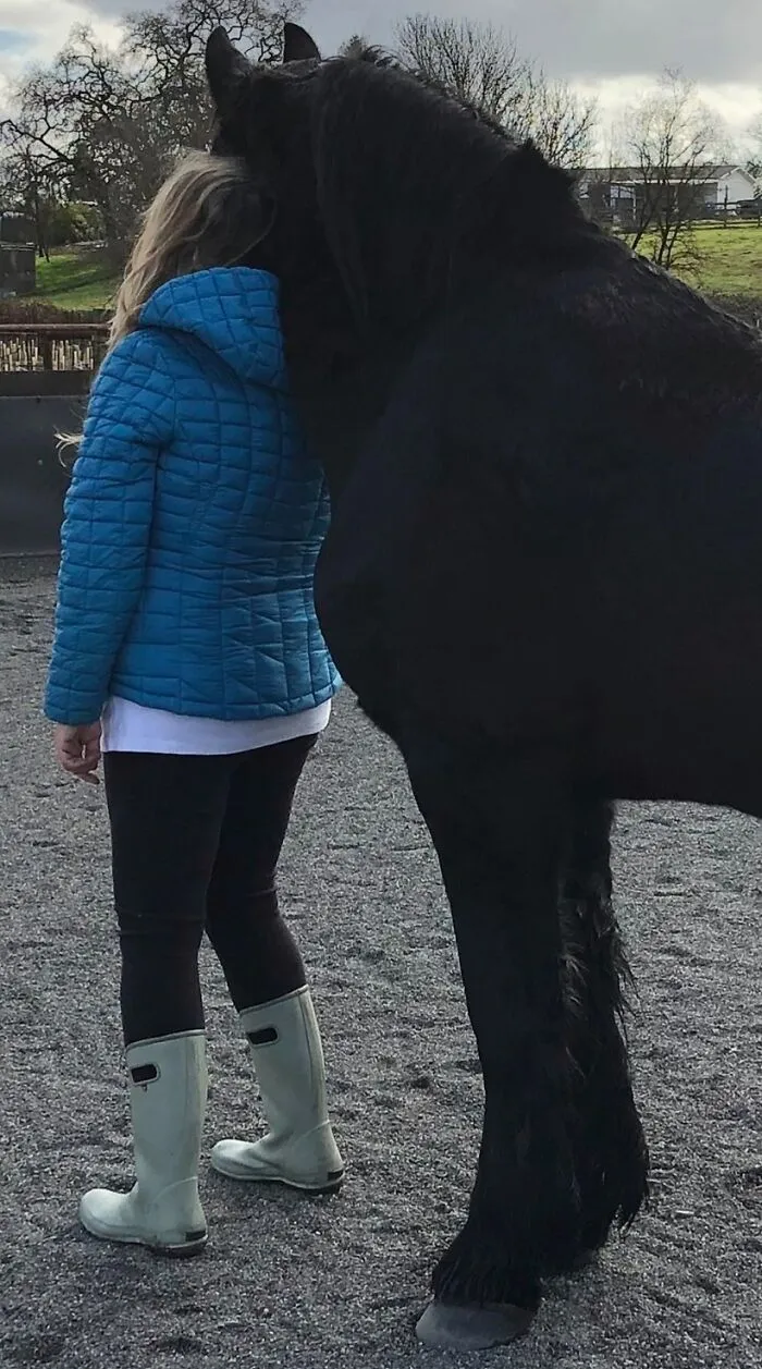All Horse Lovers