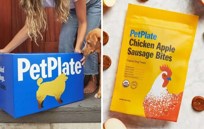 Indulge Your Pooch With <span Style="Font:inherit;color:#d74b1f;"> PetPlate Subscription Boxes</Span>: Delicious Dog Food And Treats For Your Furry Companion!