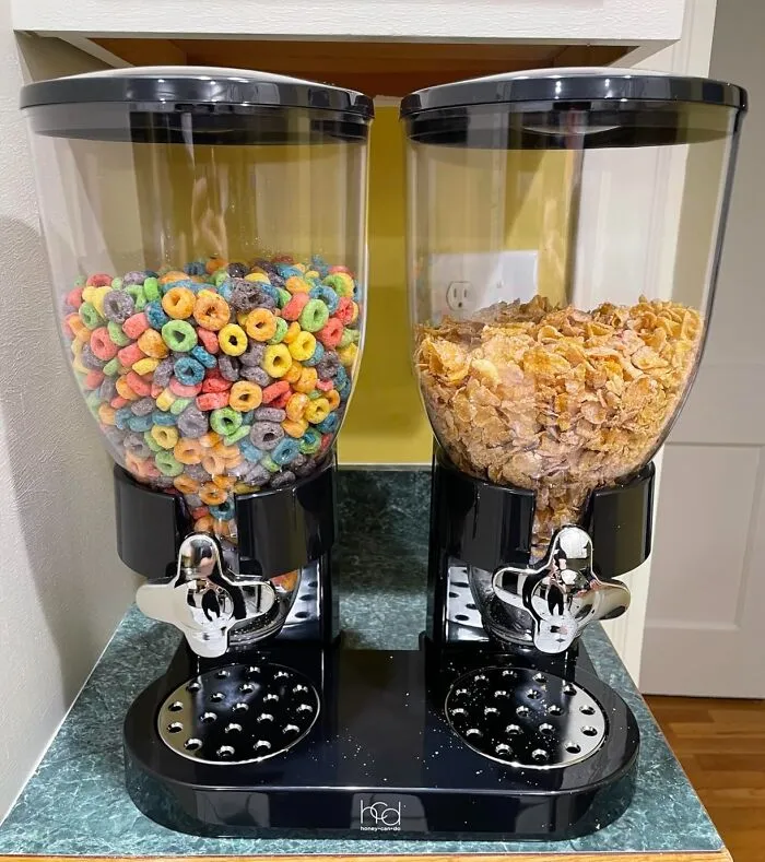 <span Style="Font:inherit;color:#d74b1f;"> Dual Control Food Dispenser </Span> : Your Go-To For Clutter-Free Countertops!