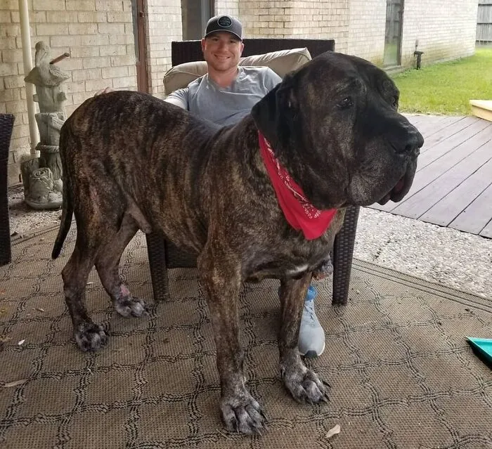 Protector Of The Family