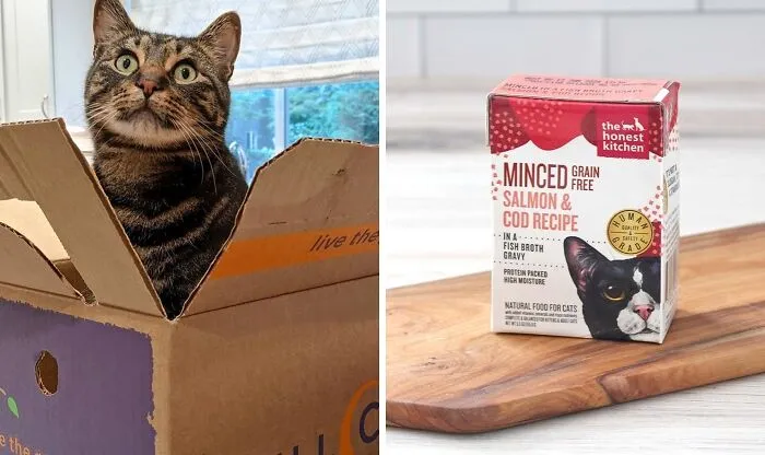Experience Wholesome Living With <span Style="Font:inherit;color:#d74b1f;"> Full Circle Subscription Boxes</Span>: Embrace Organic Produce, Farm-Fresh Products, And Nutrient-Rich Cat And Dog Food!
