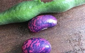 50 Curious Pictures Of Things People Don’t Get To See Often (New Pics)