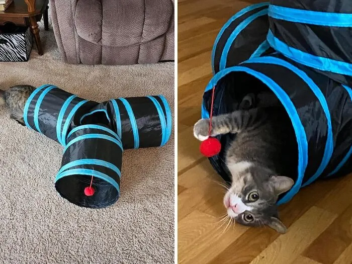 Triple The Fun: <span Style="Font:inherit;color:#d74b1f;"> 3 Way Collapsible Tunnel </Span> For Endless Play