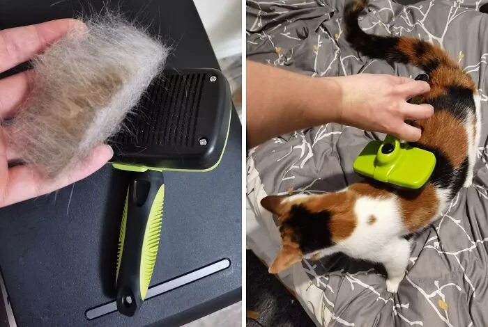 Grooming Glow-Up: Effortless Shine With <span Style="Font:inherit;color:#d74b1f;"> Self-Cleaning Slicker Brush </Span>!
