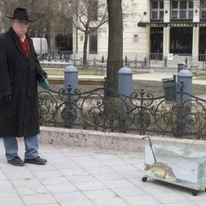 46 Imágenes malditas que van más allá de lo confuso