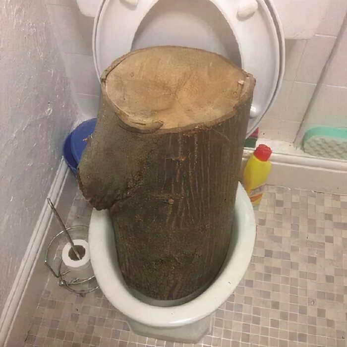 46 Imágenes malditas que van más allá de lo confuso