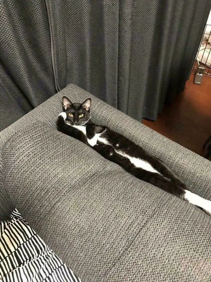 Yes, Tell Me What's The Matter