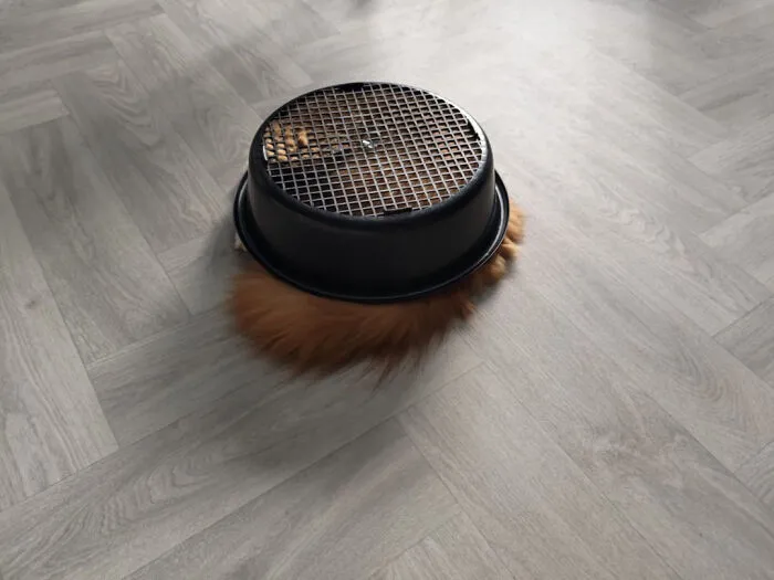 Roomba No Worky