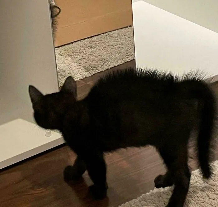 First Time He Saw Himself In The Mirror