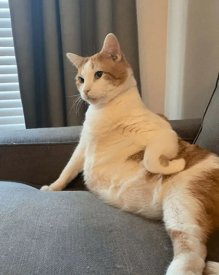 Seriously Dan? You Can't Turn On The TV?