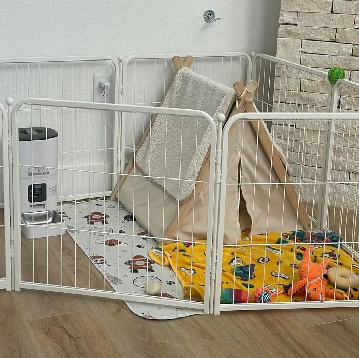 Puppy Play Palace: Unleash Fun With Your Ultimate <span Style="Font:inherit;color:#d74b1f;"> Dog Playpen</Span>!