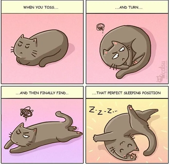 30 Comics Perfectly Depicting Hilarious Cat Antics, By This Artist From Tallinn