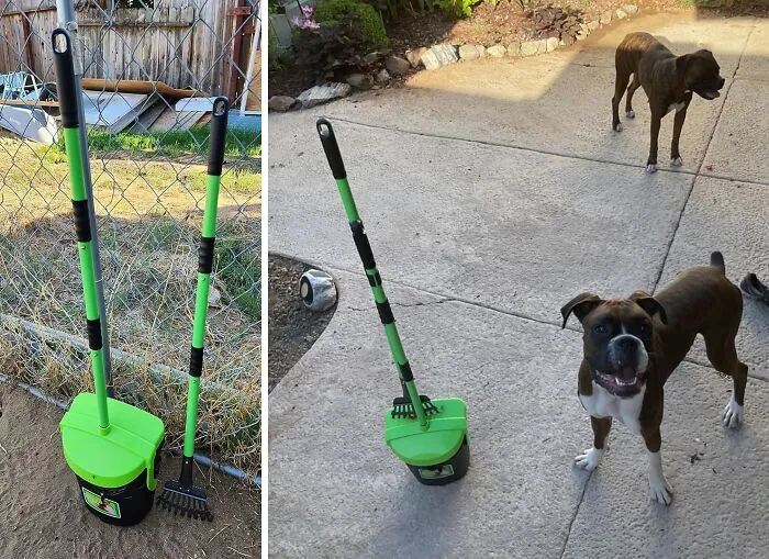 Scoop, Swivel, Smile: Make Waste Cleanup A Breeze With This <span Style="Font:inherit;color:#d74b1f;"> Pooper Scooper Kit</Span>!