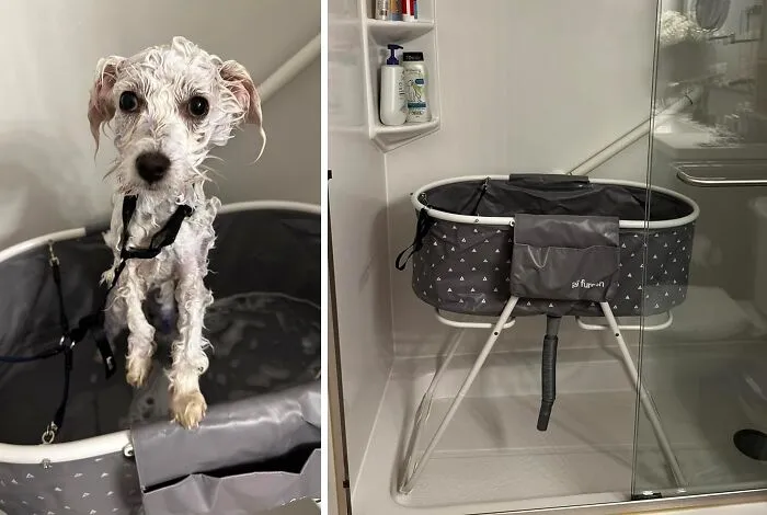 Soak, Soap, And Save: <span Style="Font:inherit;color:#d74b1f;"> Dog Bath Tub</Span>  Makes Grooming A Breeze!