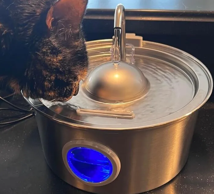Thirst No More: Sleek <span Style="Font:inherit;color:#d74b1f;"> Stainless Steel Cat Water Fountain</Span> For Hydration!