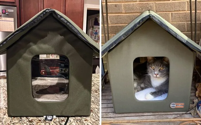 Purr-Fect Comfort: Cozy Up Your Kitty With The Outdoor Heated <a Style="Display:inline;" Href="Https://Www.amazon.com/Pet-Products-3993-Outdoor-17-Inches/Dp/B07hmprtxf?ie=utf8&th=1&linkcode=ll1&tag=bpstarfish-20&linkid=55f9dd649e45f1524beb5df3cda232aa&language=en_us&ref_=as_li_ss_tl" Target="_blank"><span Style="Font:inherit;color:#d74b1f;"> Kitty House</Span>