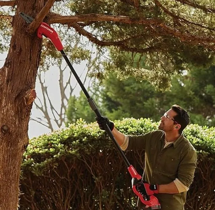 Elevate Your Pruning Game: Snag This <span Style="Font:inherit;color:#d74b1f;"> Cordless Pole Saw </Span> !