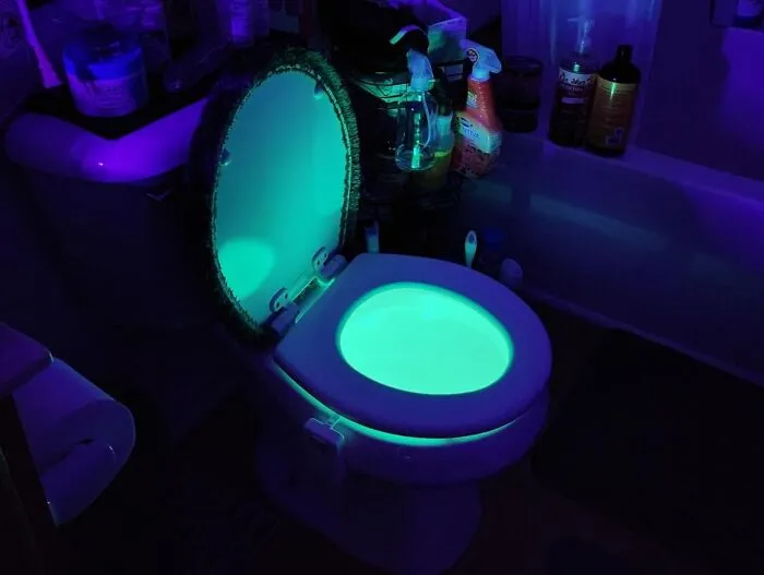 Transform Your Bathroom Experience With <a Style="Display:inline;" Href="Https://Www.amazon.com/16-Color-Activated-Detection-Birthday-Gadgets/Dp/B07l2y84k3?ie=utf8&linkcode=ll1&tag=bpstarfish-20&linkid=34d7fce46be87ad0590aa0dc28271e96&language=en_us&ref_=as_li_ss_tl" Target="_blank"><span Style="Font:inherit;color:#d74b1f;"> Toilet Night Lights</Span>