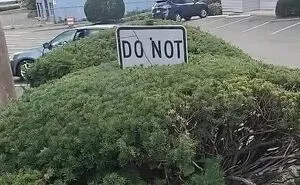 30 Times People Spotted Such A Surprisingly Funny Sign That They Just Had To Take A Picture