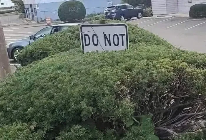 30 Times People Spotted Such A Surprisingly Funny Sign That They Just Had To Take A Picture