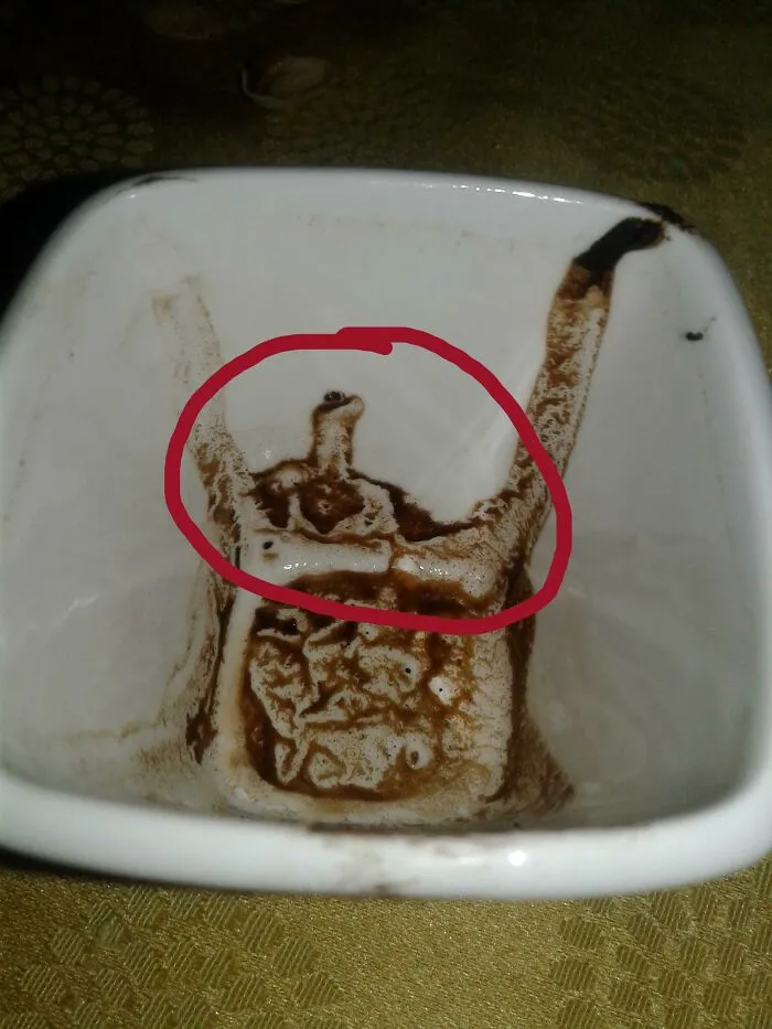 Estábamos leyendo los posos del café y yo veo un lagarto con traje de supermán... ¿lo veis?