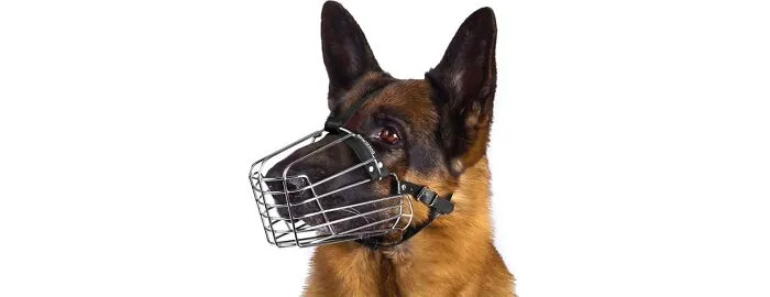 BRONZEDOG Wire Dog Muzzle