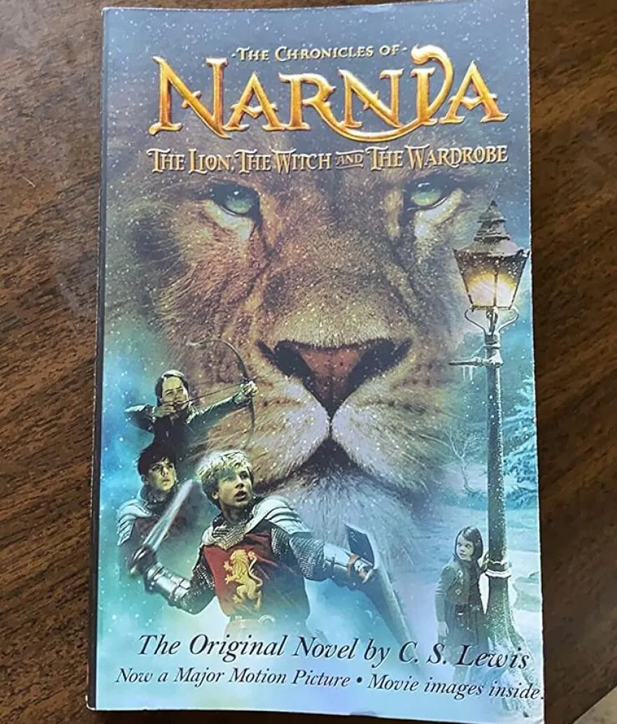 Step Into The World Of Narnia: <span Style="Font:inherit;color:#d74b1f;"> The Lion, The Witch And The Wardrobe Paperback Book </Span> - A Classic For All Ages
