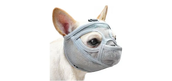 Mayerson Short Snout Muzzle 